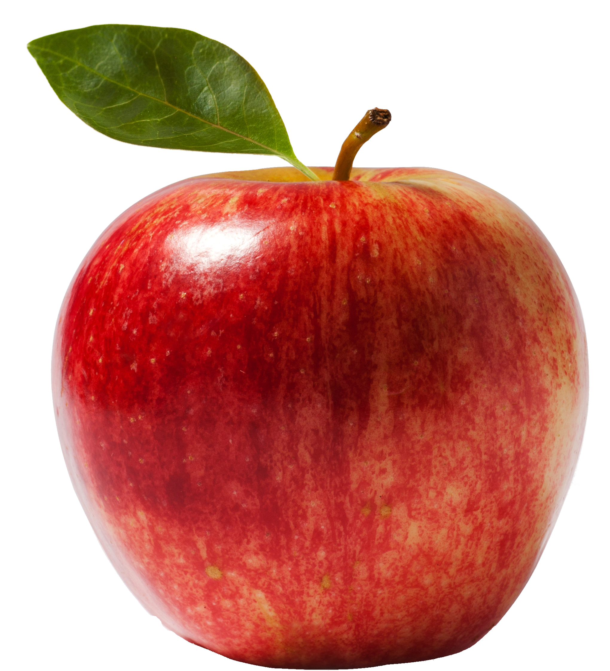 Apple Leaf Clipart