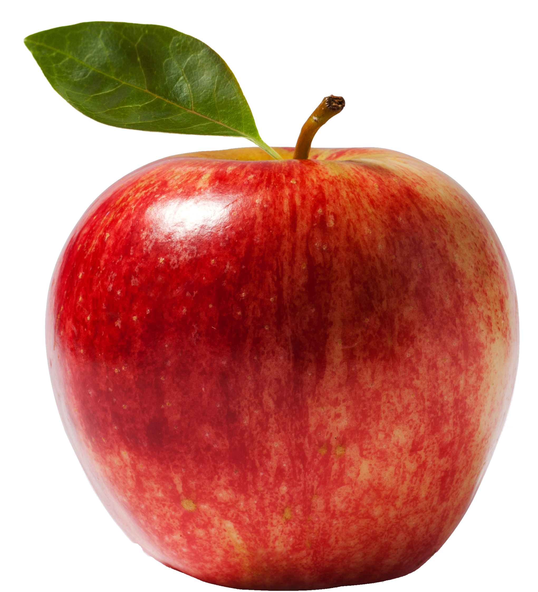 Apple Leaf Clipart PNG Transparent Background, Free Download #49404 ...