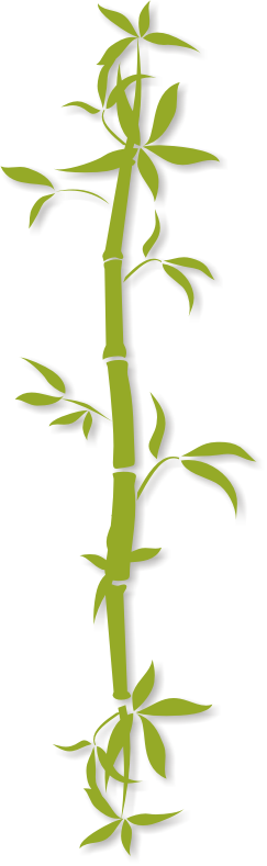 Best Clipart Png Bamboo #40475 - Free Icons and PNG Backgrounds