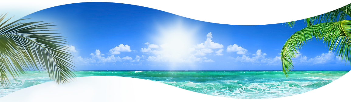 Beach Banner PNG Transparent Background, Free Download #41212 - FreeIconsPNG