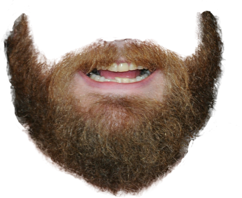 Beard PNGs for Free Download