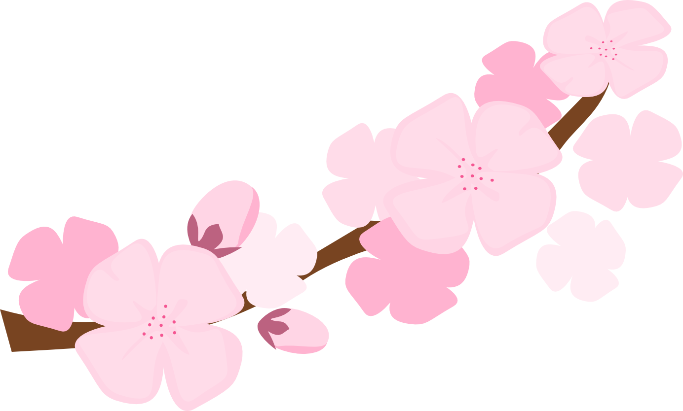 Best free cherry blossom clipart png transparent background free