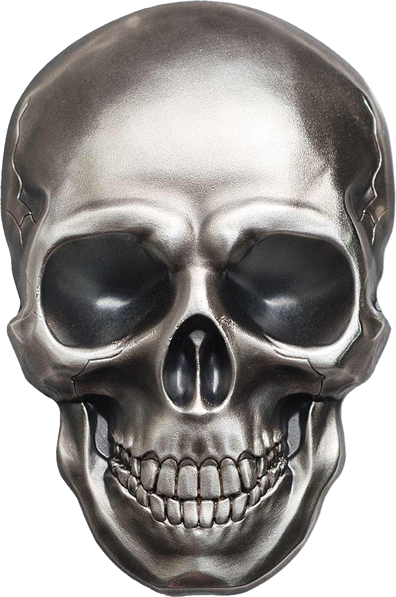 Skull Transparent PNG Pictures - Free Icons and PNG Backgrounds