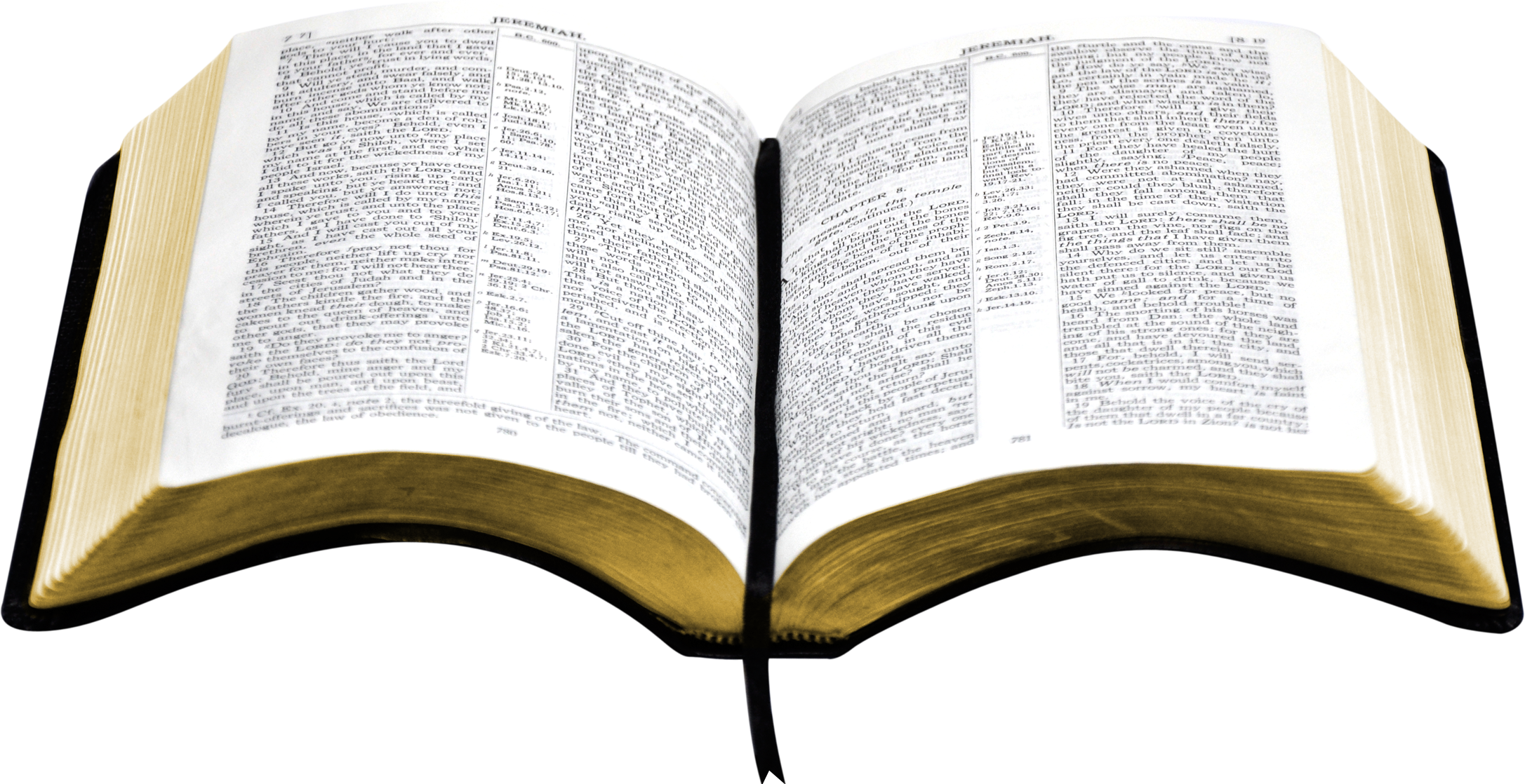 bible transparent png pictures free icons and png free bible graphics