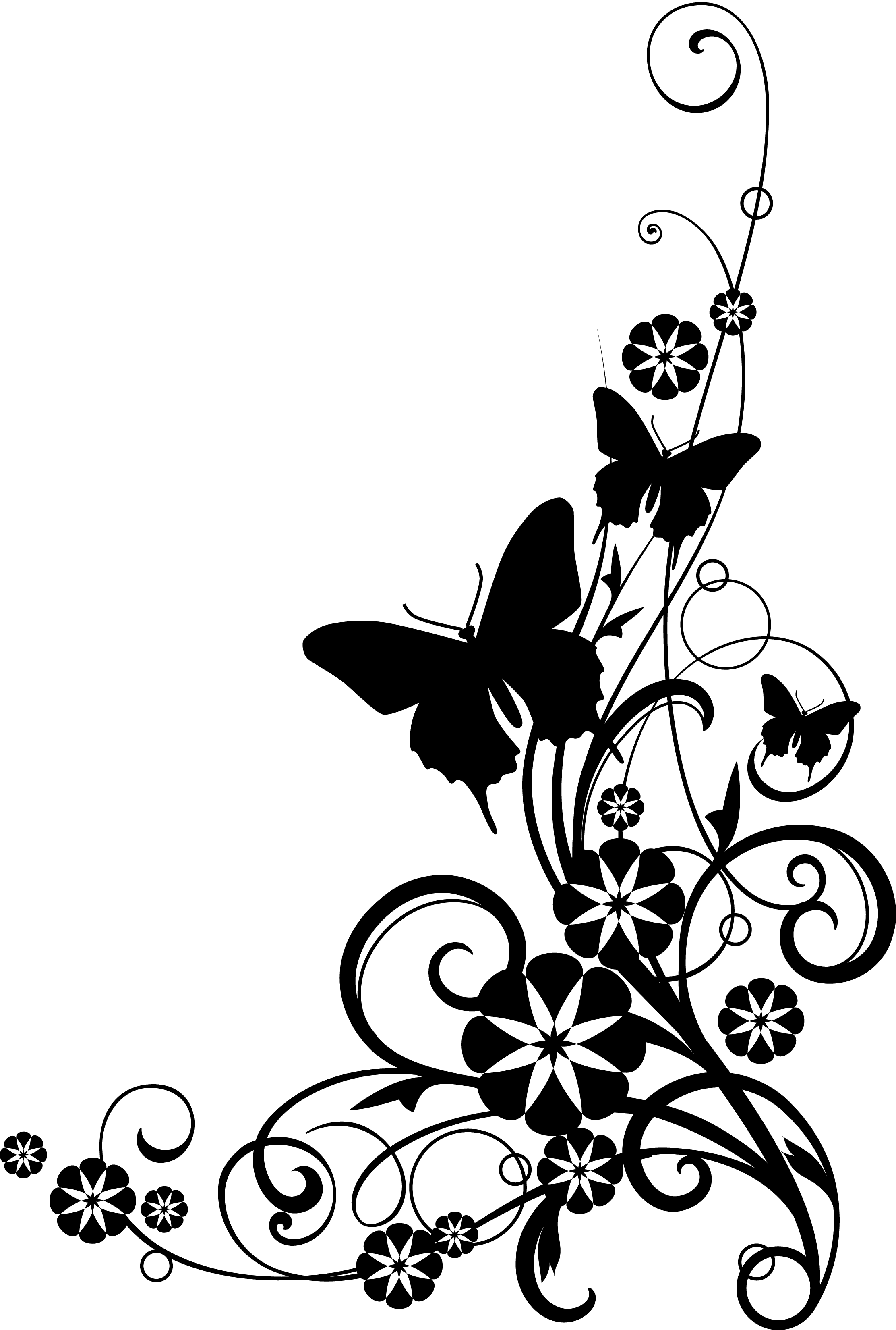 Flower Black And White PNG, Flower Black And White Transparent