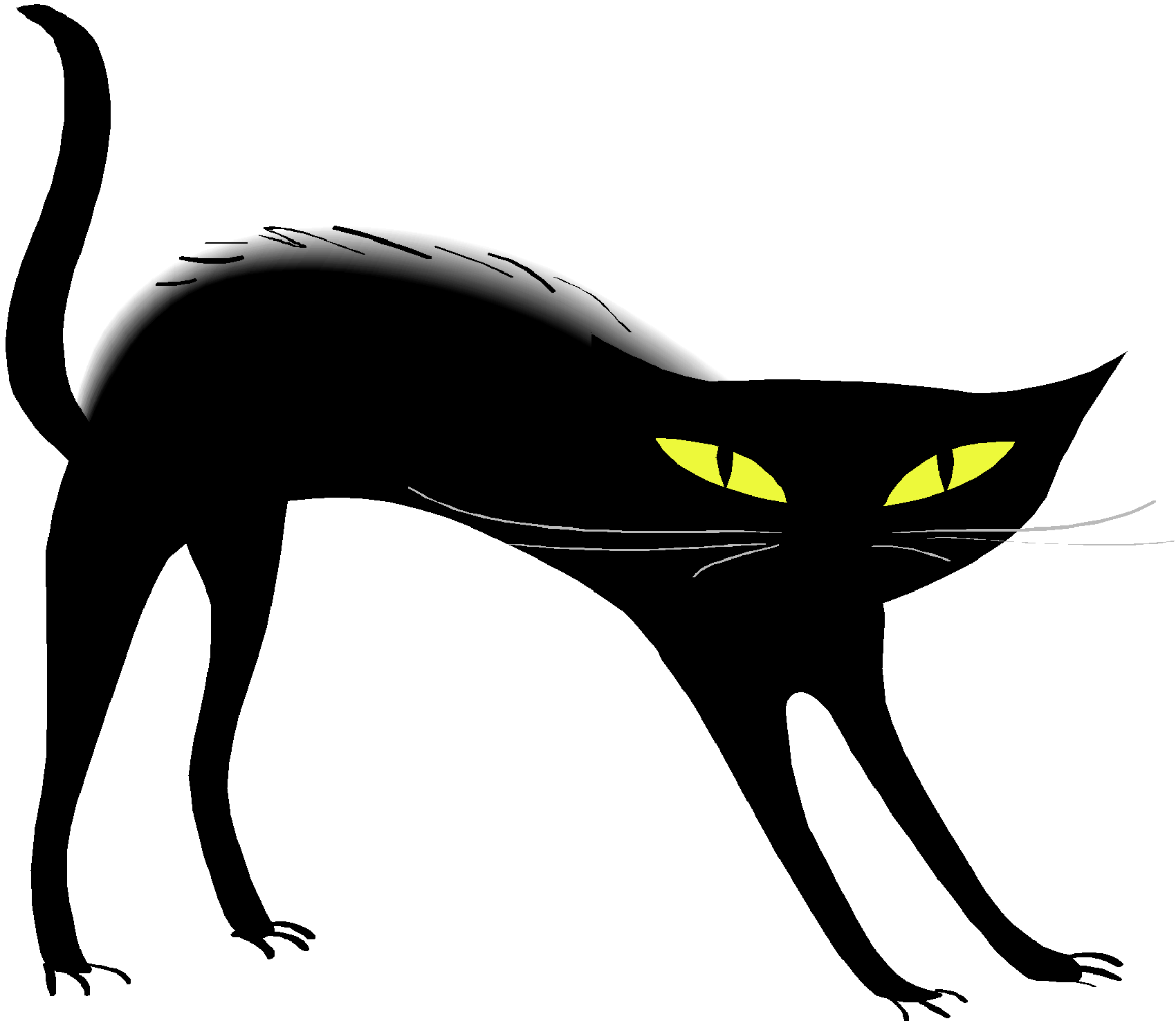 hd black cat image in our system 30363 free icons and png backgrounds