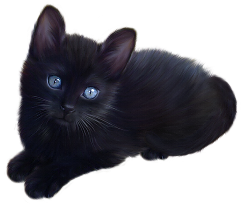 Black Cat PNG, Black Cat Transparent Background - FreeIconsPNG