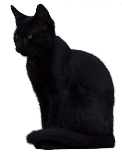 Black Cat PNG Transparent Background, Free Download #30353 - FreeIconsPNG