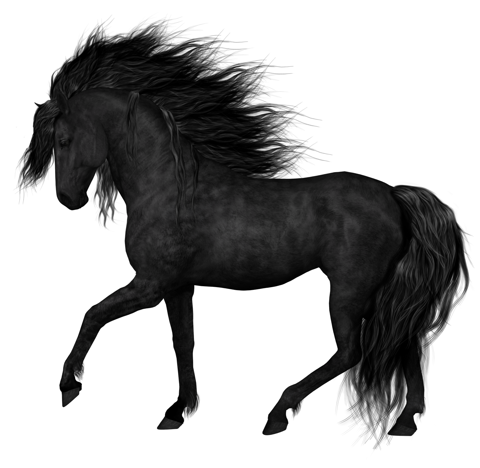 Horse PNG Image Transparent