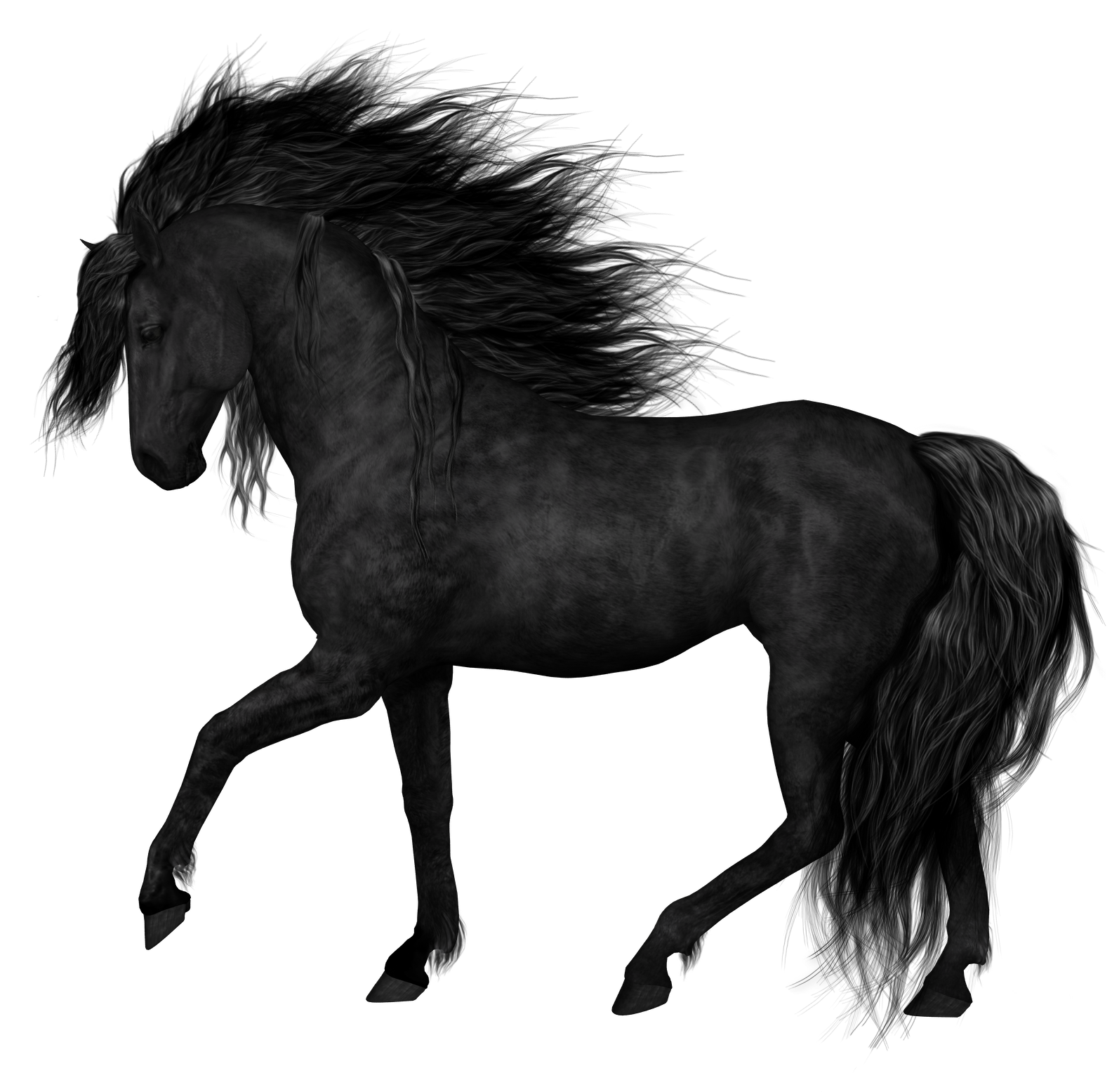 black-horse-png-19.png