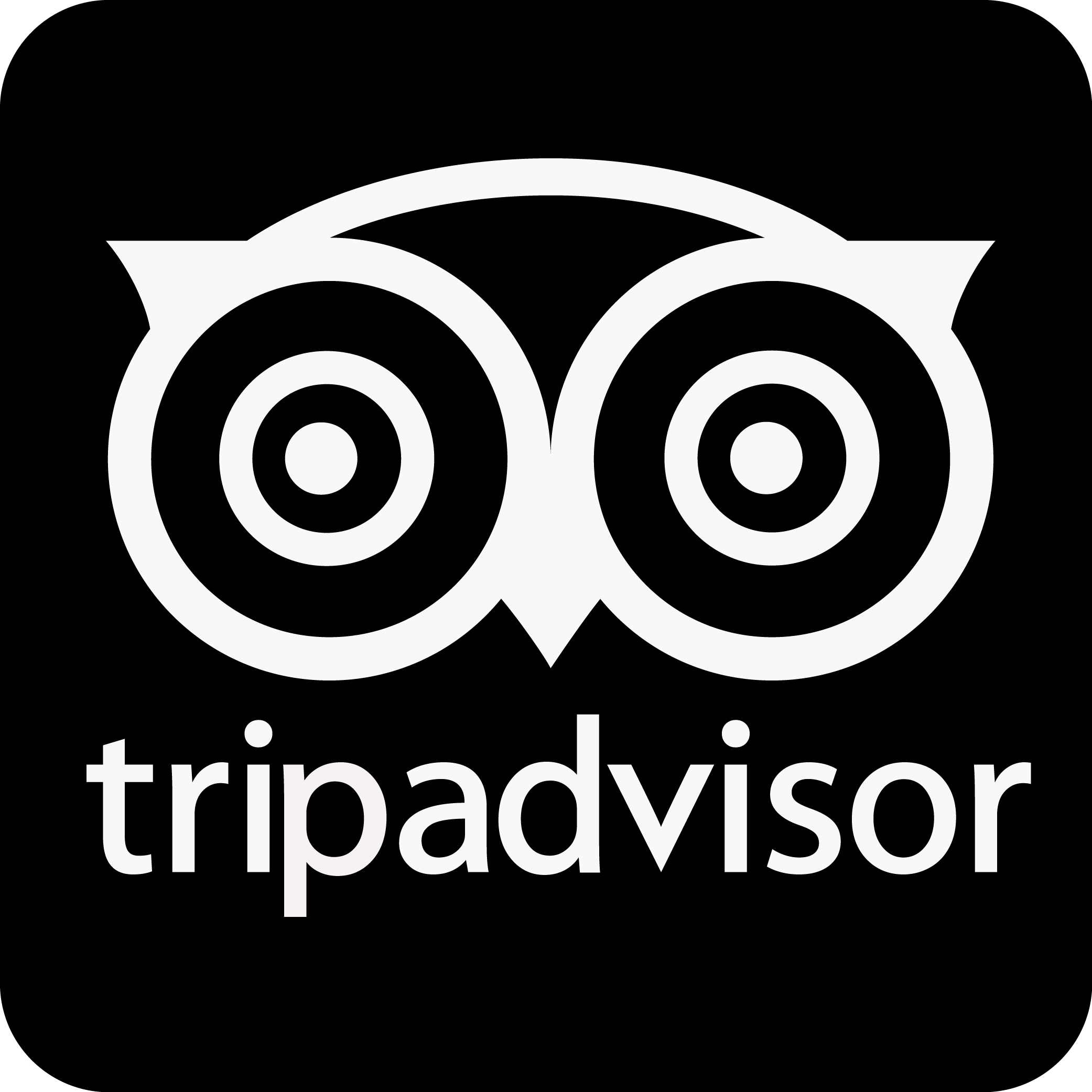 Трипэдвайзер логотип. Иконка TRIPADVISOR. Трипадвизор. TRIPADVISOR логотип без фона. Трип эдвайзер