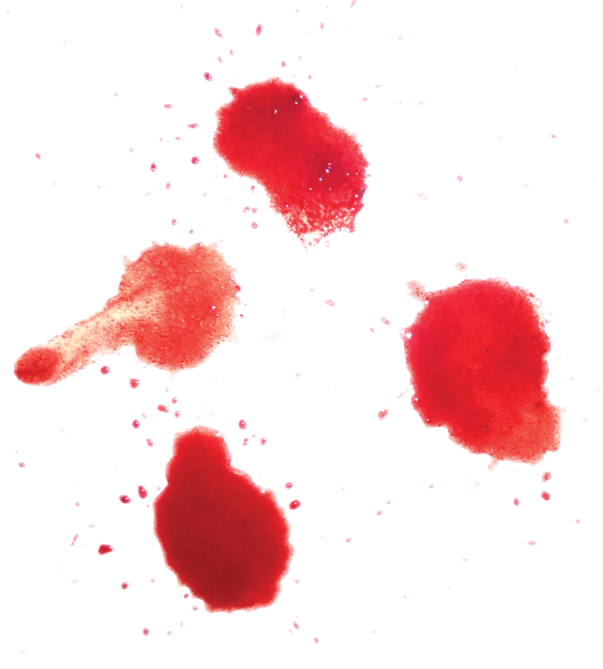 Download Vector Blood Free PNG Transparent Background, Free Download