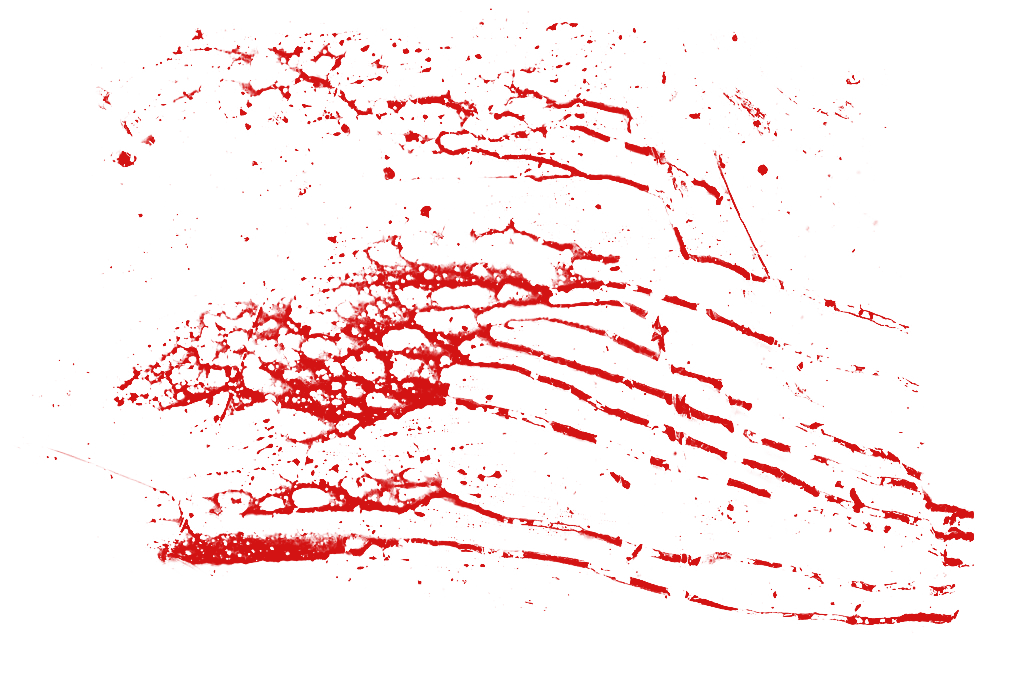 Blood Splatter Transparent / Collection of blood splatter png (38