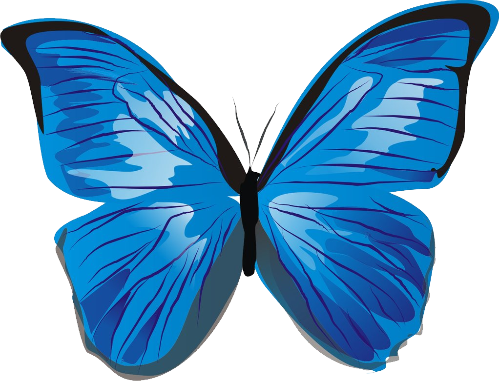 blue butterfly transparent background