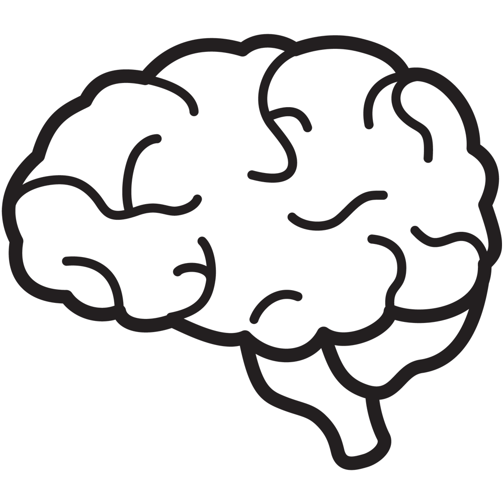 brain clipart transparent