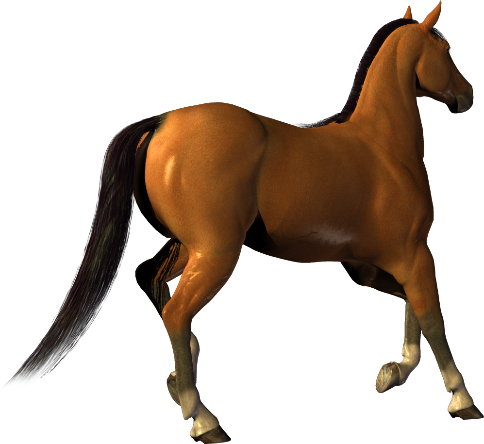 brown horse png