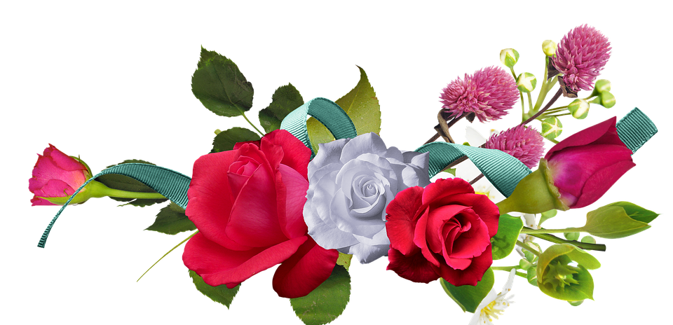 Download 57 Background Untuk Bunga Mawar Paling Keren