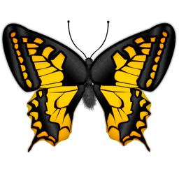 Butterfly Vector Png Transparent Background Free Download Freeiconspng Butterfly Vector Png Transparent Background Free Download Freeiconspng