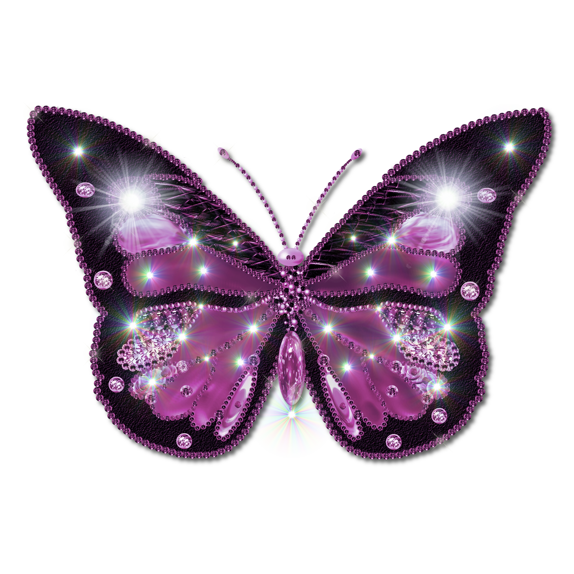 Butterfly PNG, Butterfly Transparent Background - FreeIconsPNG