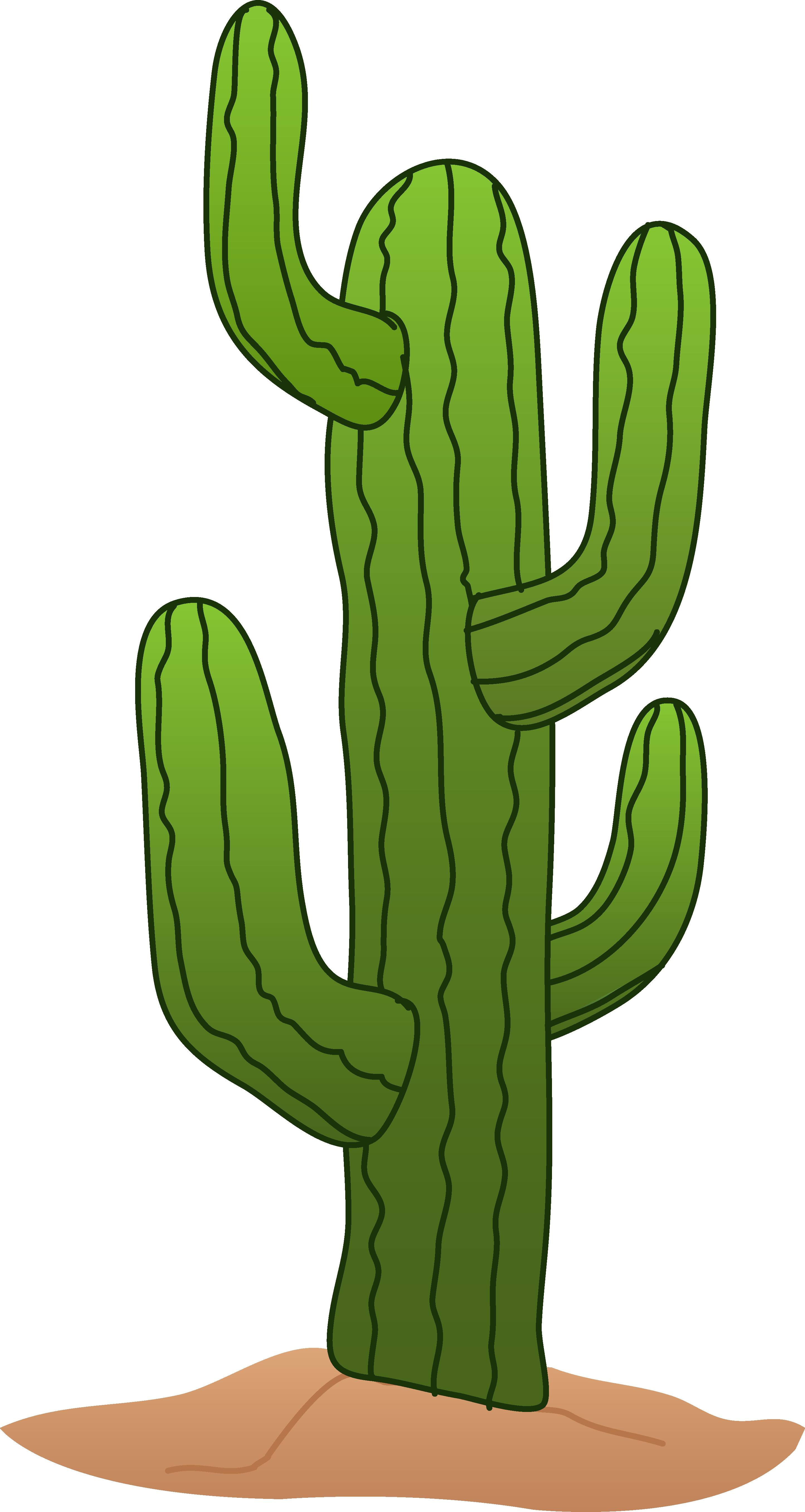 Cactus Cartoon png download - 2706*1285 - Free Transparent