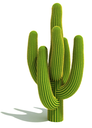 Png Cactus Download Vector Free 300x415, 120.3 KB, Cactus PNG Download