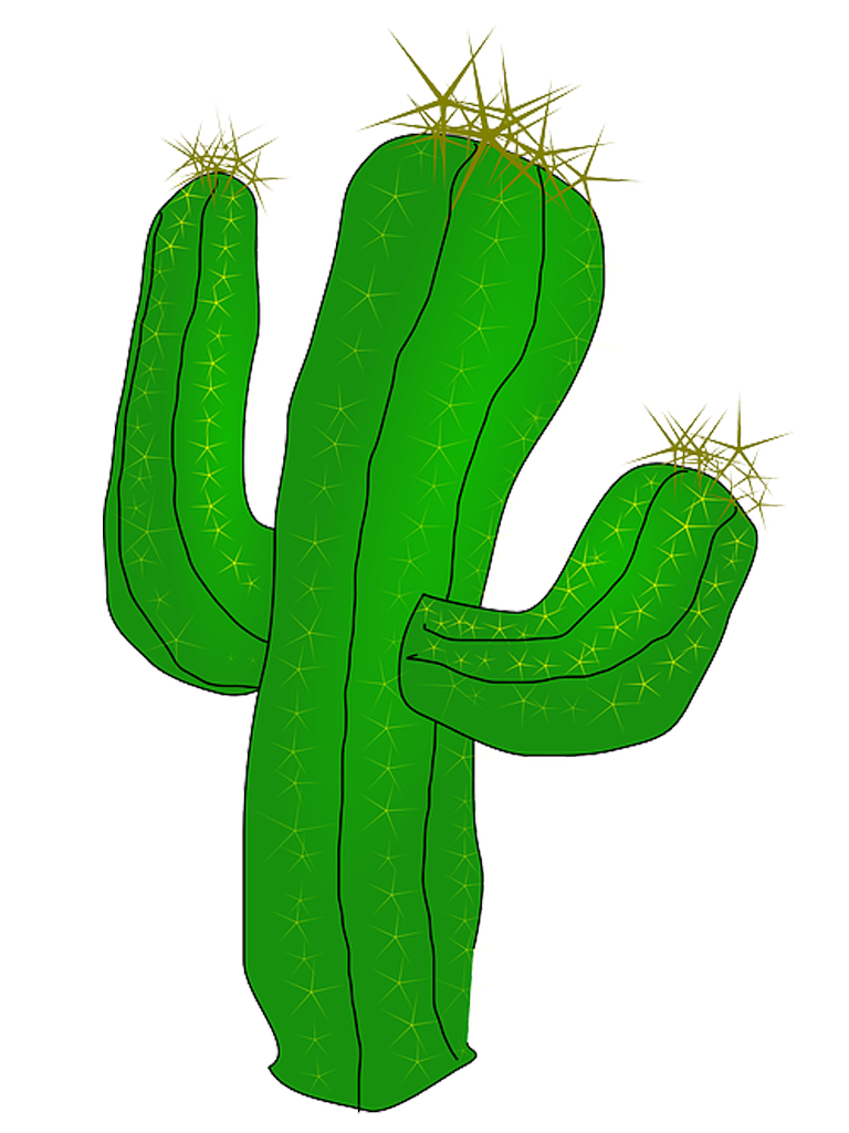Free images best clipart cactus, download free cactus transparent PNG image...