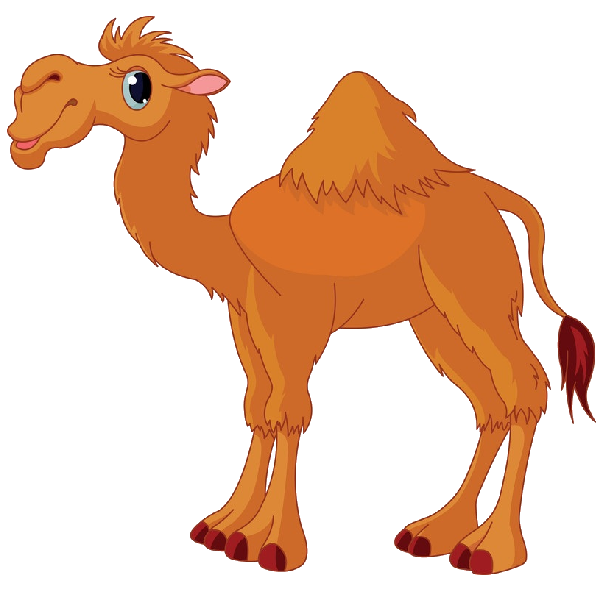 Camel Photo PNG Transparent Background, Free Download 37106 FreeIconsPNG