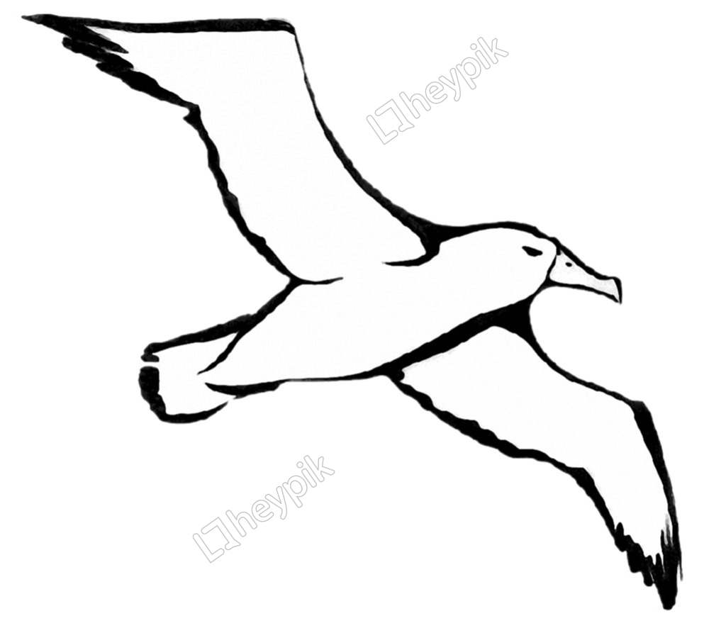 cartoon-character-albatross-photos-png-transparent-background-free