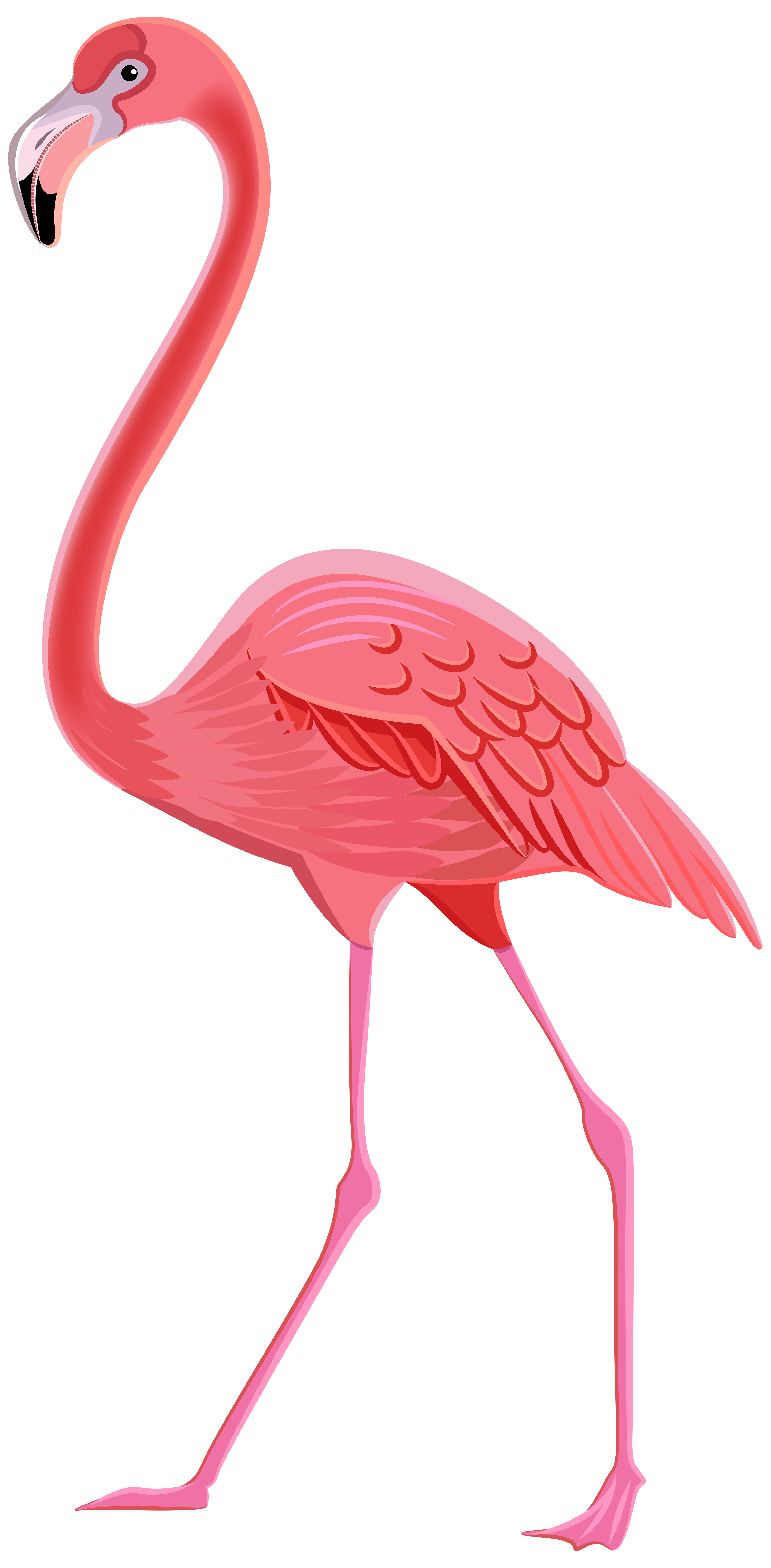 Flamingo Transparent Png Pictures Free Icons And Png Backgrounds