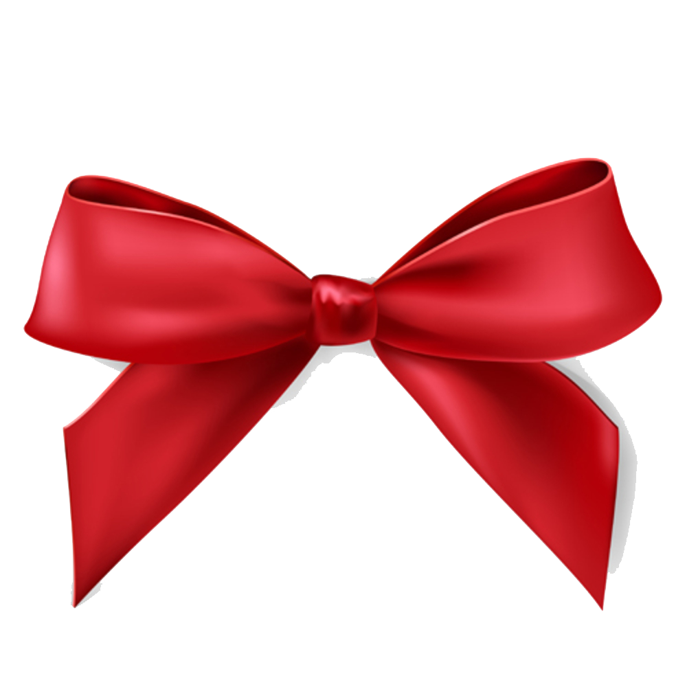 christmas bow png photo