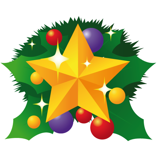 Christmas star Icon