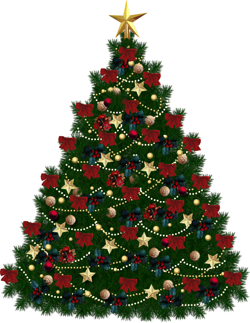 Browse And Download Christmas Tree Png Pictures