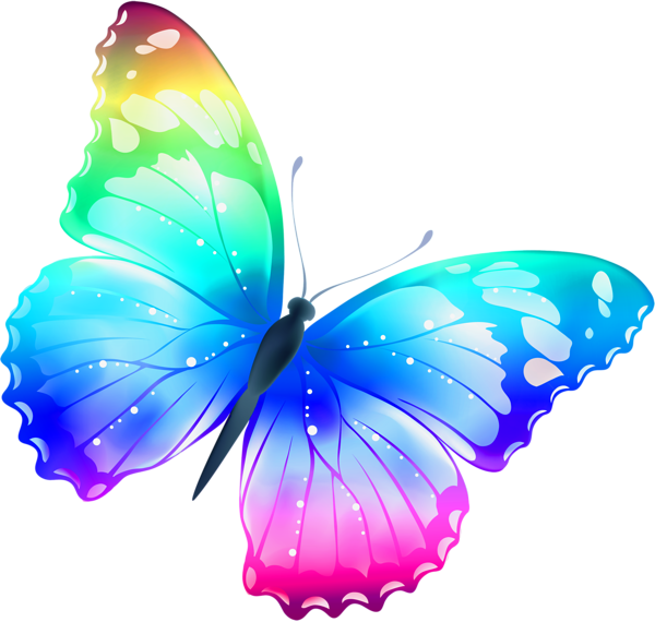 Colorful Butterfly PNG Transparent Background Free Download 6730