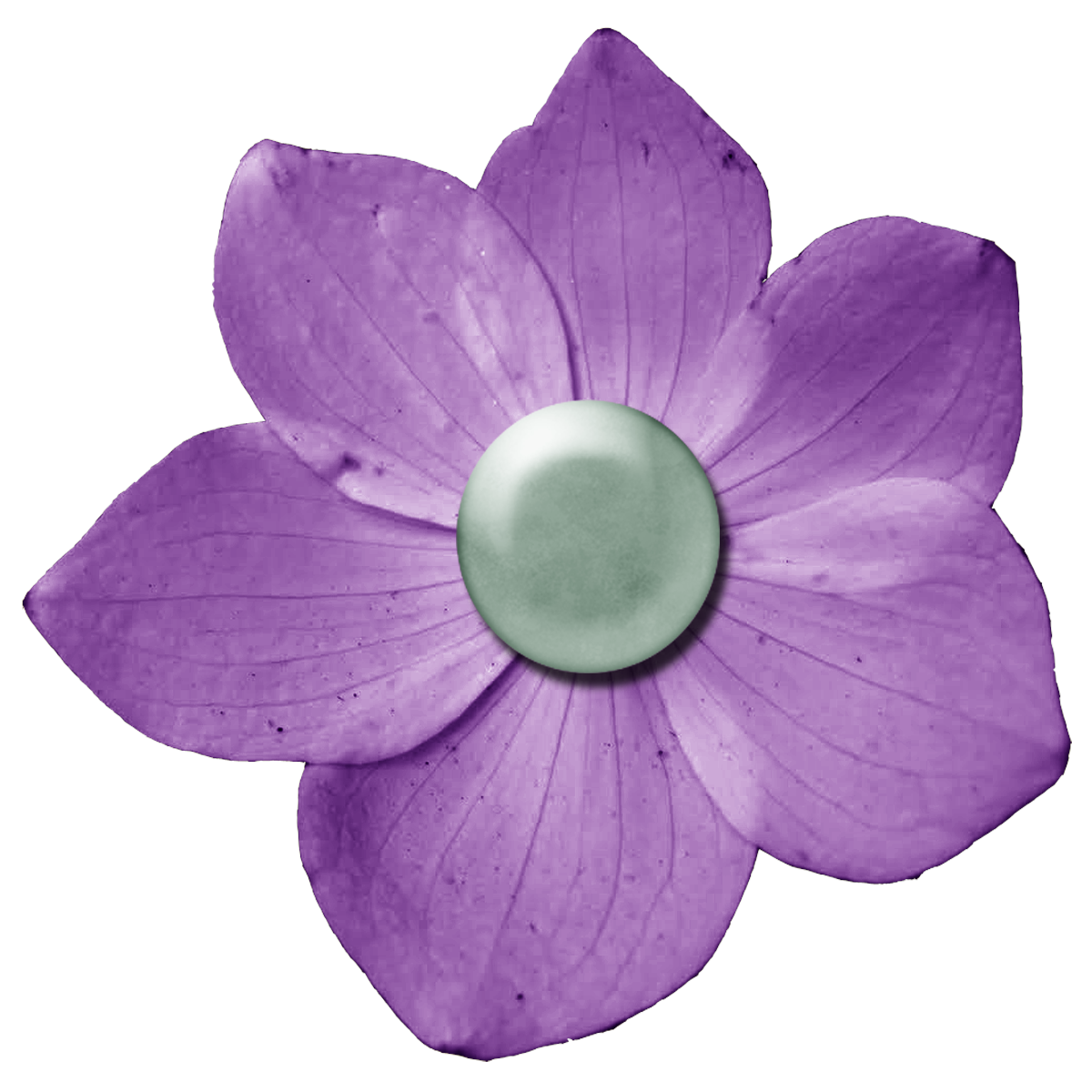 Dark Purple Flower PNG Transparent Background, Free Download #6221 ...