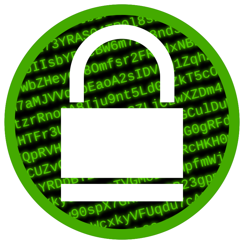 Digital Encryption Icon