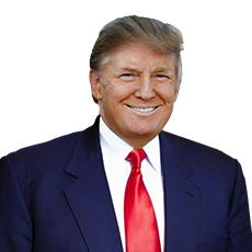 Donald Trump PNG, Donald Trump Transparent Background - FreeIconsPNG