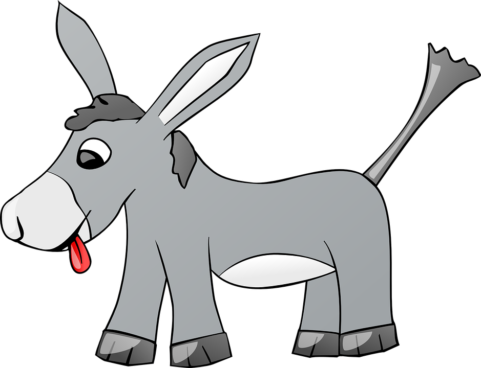 Donkey Cartoon Pohoto Image