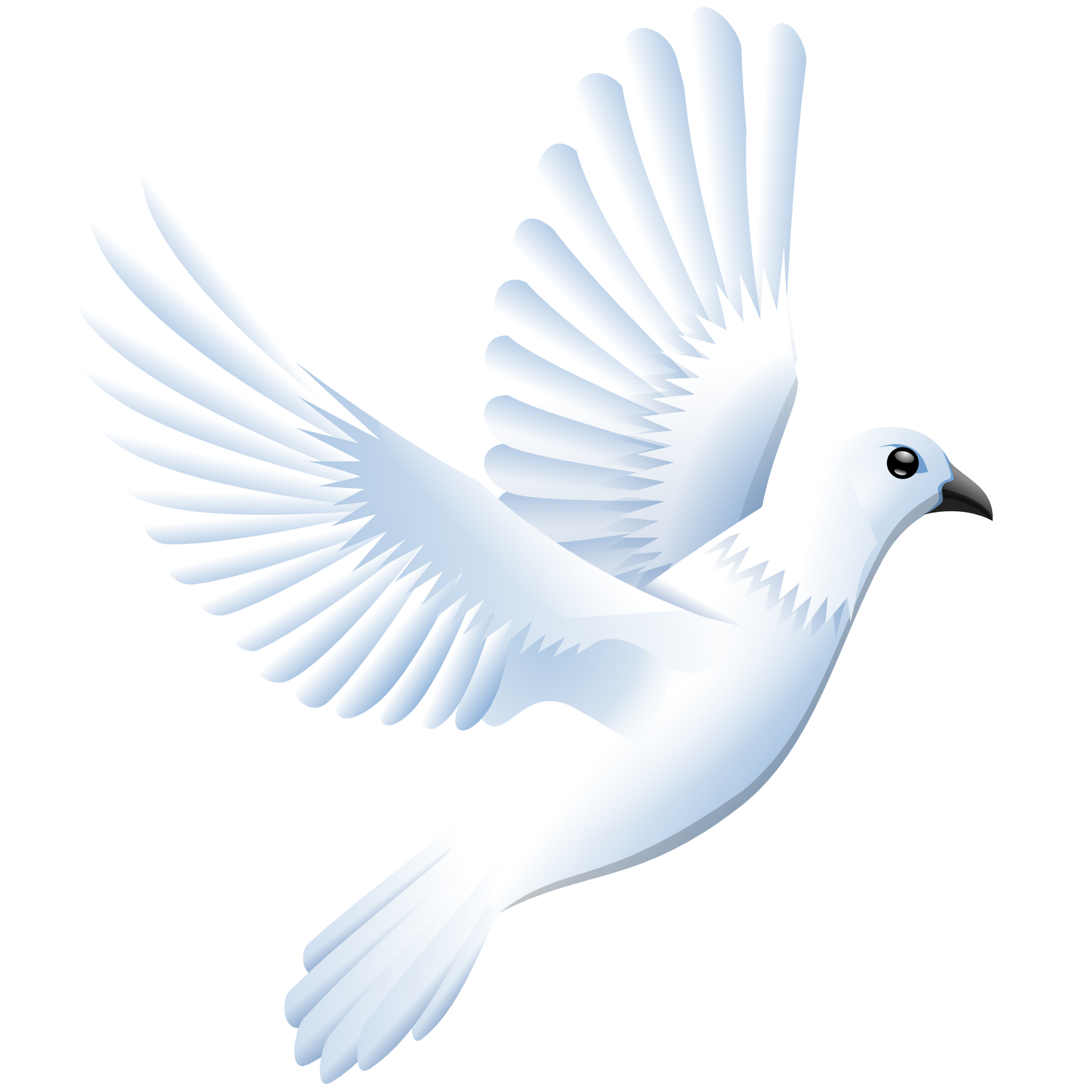 Dove Png Dove Transparent Background Freeiconspng