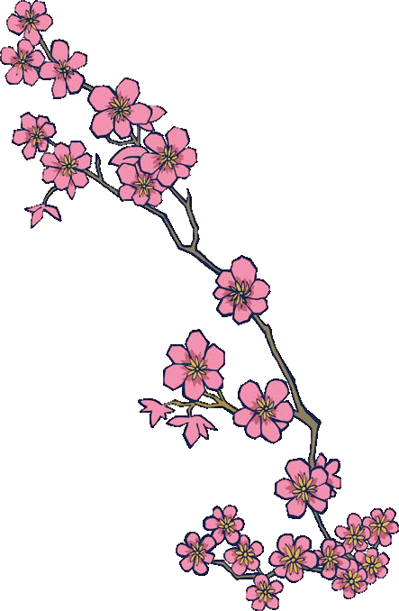 Cherry Blossom PNG Images - Free Icons and PNG Backgrounds