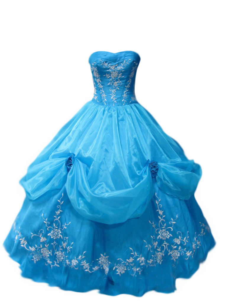 Dress PNG, Dress Transparent Background - FreeIconsPNG