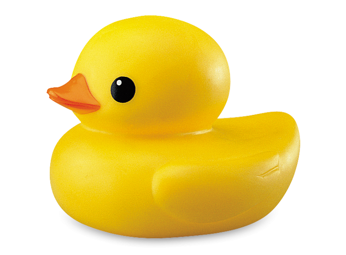 Duck Transparent Hd Png Background