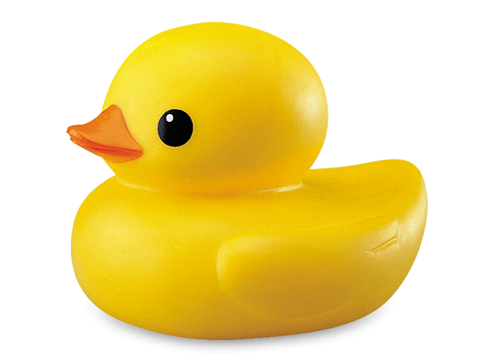 Duck hd background png transparent background free download 20139