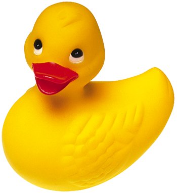 Duck Png Available In Different Size