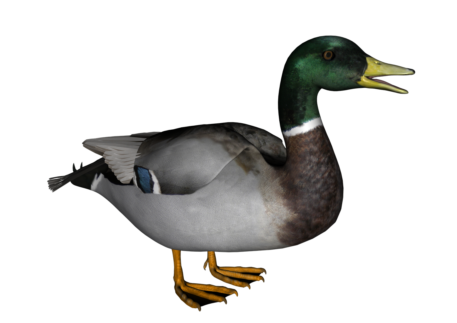 Download Free High quality Duck Png Transparent Images
