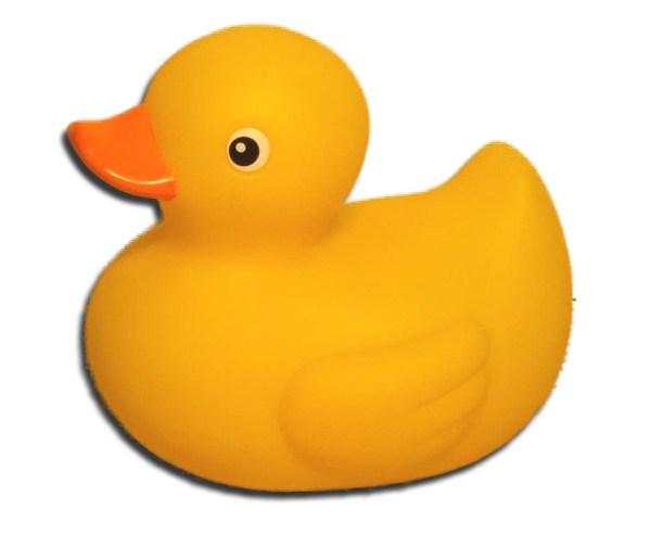 Png Free Download Images Duck