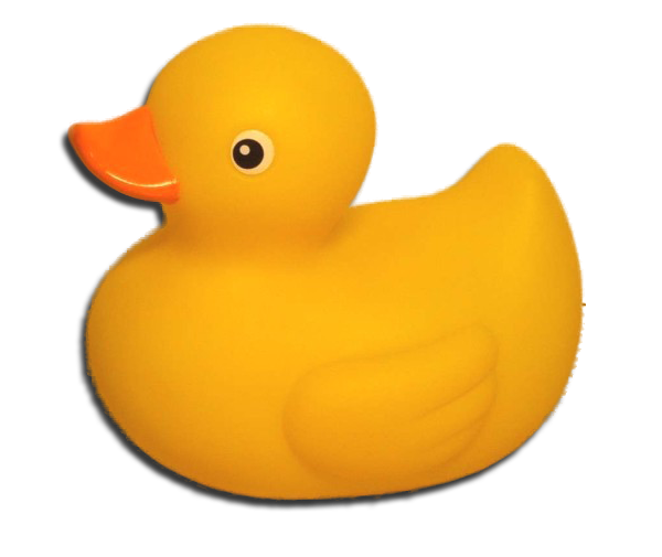 Duck Png Download free duck png images. Ivory Pirate
