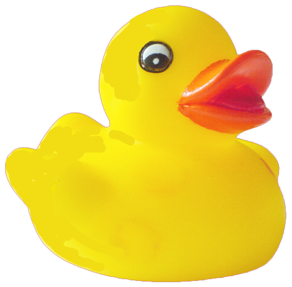 High quality Png Duck Download