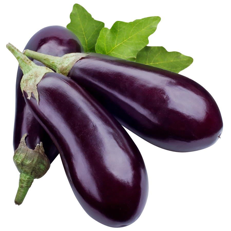 eggplant-transparent-png-pictures-free-icons-and-png-backgrounds