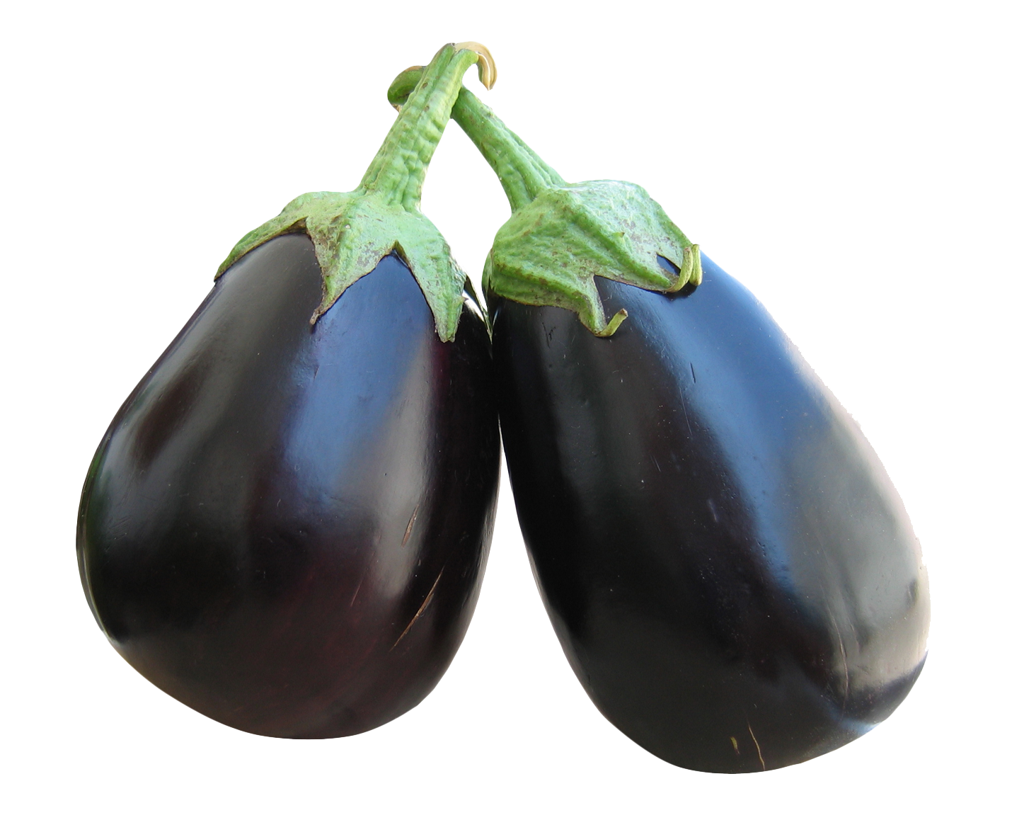 Eggplant Picture Download PNG Transparent Background, Free Download
