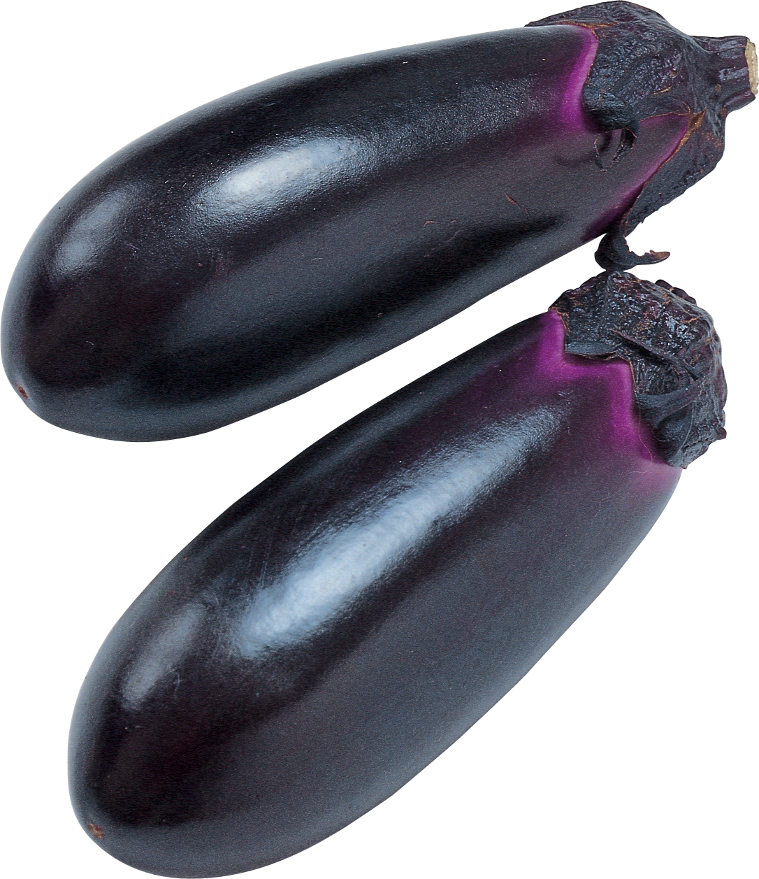 Eggplant Transparent PNG Pictures - Free Icons and PNG Backgrounds